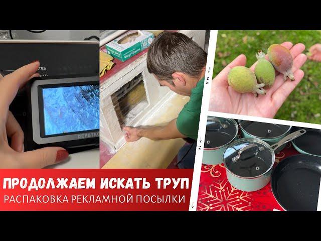 Продолжаем поиски трупа / Распаковка посылки / Полезный фрукт / Влог США