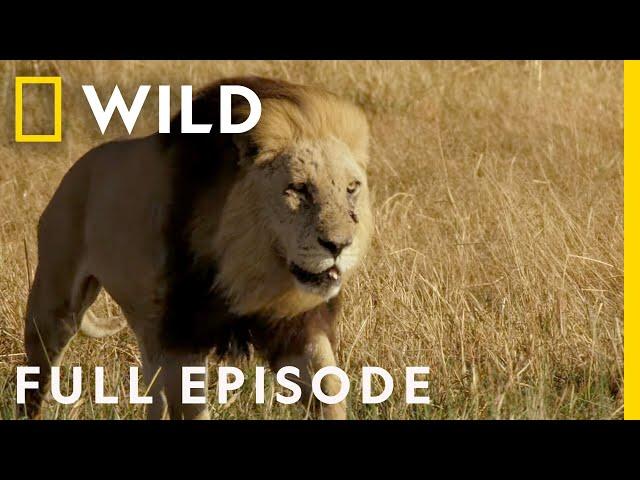 Rival Dynasties & the Fall of the Queen (Full Episode) | Savage Kingdom