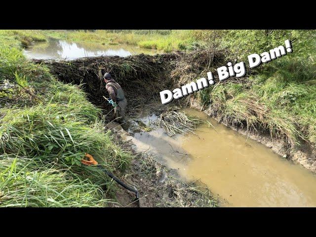 Most Exhausting Beaver DAM REMOVAL EVER!