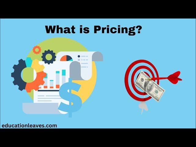What is Pricing in marketing? | Pricing strategies