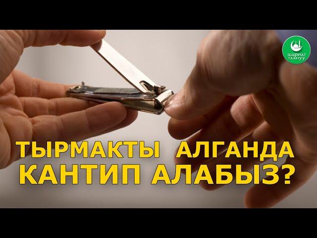 ТЫРМАК АЛУУНУН ЭРЕЖЕСИ | ТЫРМАКТЫ КАЙСЫ КҮНҮ АЛАБЫЗ?