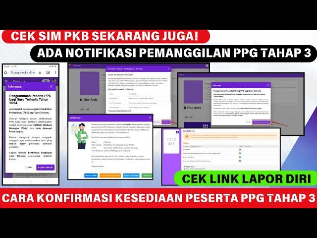 CEK SIM PKB SEKARANG! CARA CEK DAN KONFIRMASI KESEDIAAN PESERTA PILOTING PPG GURU TERTENTU TAHAP 3