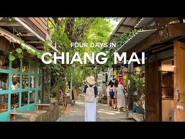 4 days in Chiang Mai | thailand vlog