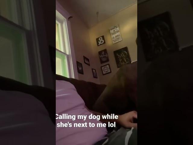 #Calling my #Dog while she's next to me to get her #reaction