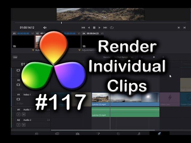 DaVinci Resolve Tutorial: How To Render Individual Clips