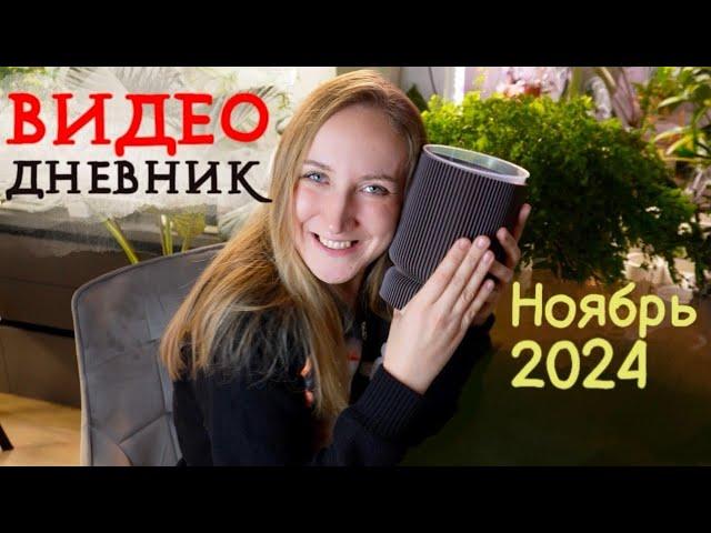 ВИДЕОДНЕВНИК цветовода | Ноябрь 2024