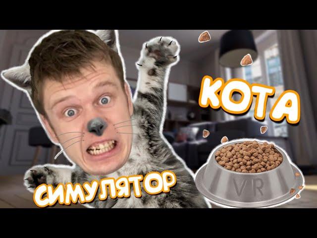 Я превратился в КОТА! УСТРОИЛ ПОГРОМ В КВАРТИРЕ!!! Catify VR