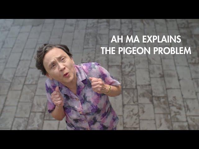 Ah Ma Explains: The Pigeon Problem