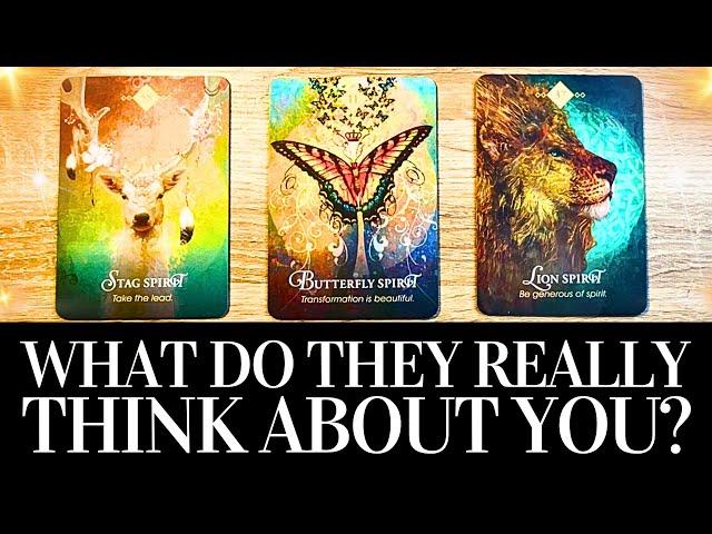 PICK A CARD   WHAT DO THEY REALLY THINK ABOUT ME?   Platonic/Romantic/Family/Work Tarot Reading