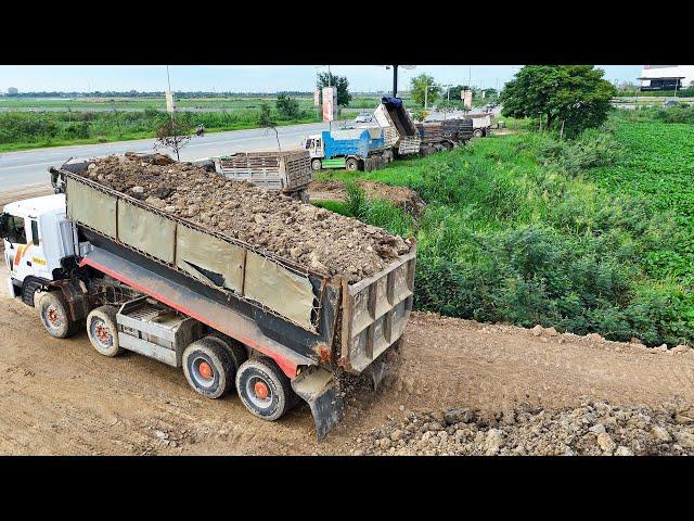 Hard working bulldozer and dump trucks filling up huge land | Machine Cambodia | Shantui Dozer