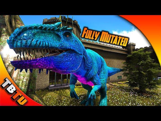 EPIC FULLY MUTATED GIGANTOSAURUS! GIGA BREEDING AND ZOO ENCLOSURE! Ark Survival Evolved Zoo