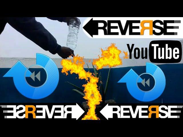 Best Reverse Video Ever!