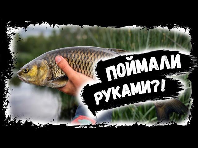 Рыбалка РУКАМИ!?!?!? в Моргаушах и на Суре,Поймали Голавлей,Судака,Окуня,Щуку))