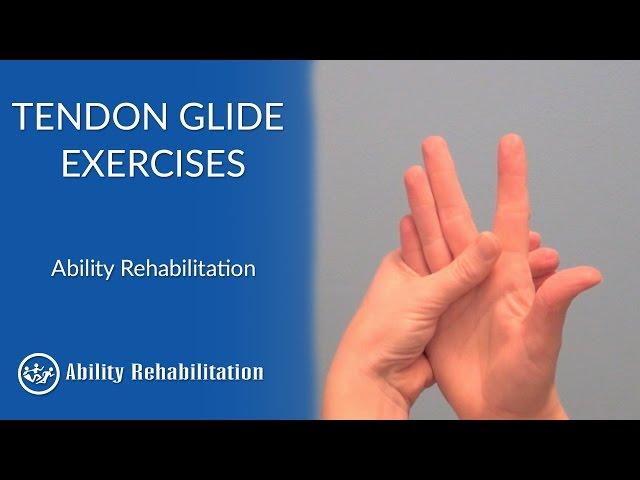 Tendon Glide Exercises | Ability Rehabilitation