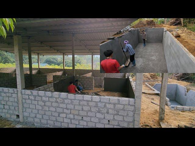 plastering cement walls for pig farms