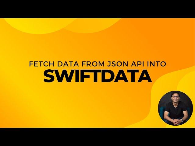 Fetch Data from JSON API into SwiftData Database