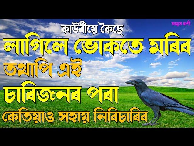 লাগিলে ভোকতে মৰিব কেতিয়াও এই চাৰিজনৰ পৰা সহায় নিবিচাৰিব -কাউৰীয়ে কৈছে | MOTIVATIONAL VIDEO| NIRANJAN