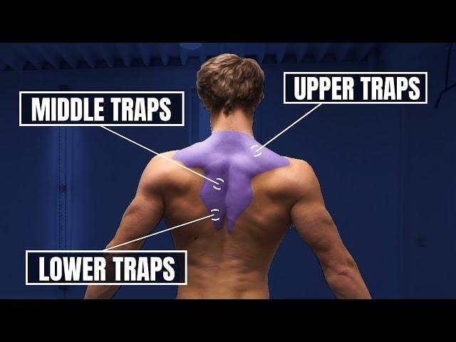 The BEST Body Weight Trap Workout At Home (NO EQUIPMENT!)