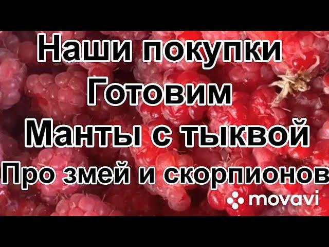 Наши покупки Готовим манты с тыквой Про змей и скорпионов Таджикистан