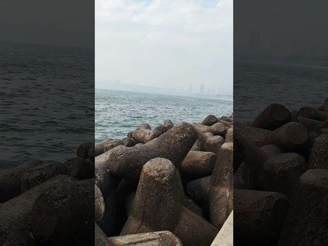 Jaana samjho na // Mumbai marine lines #marinedrive