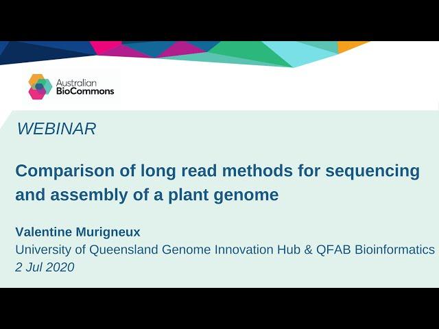 Comparison of long read methods for sequencing and assembly of a plant genome