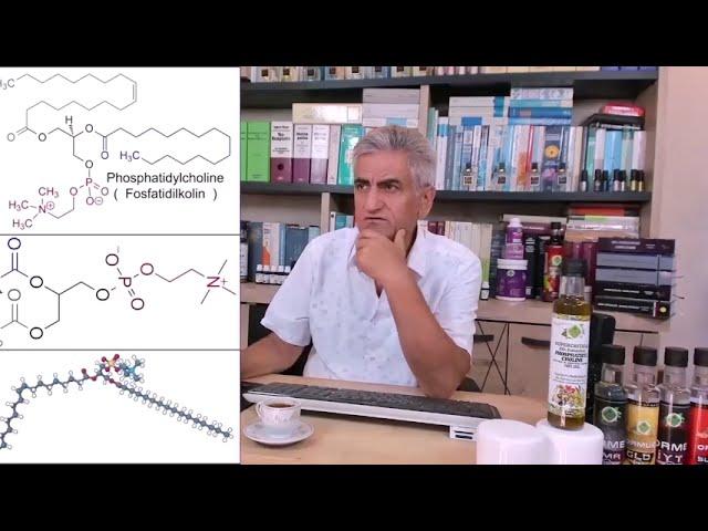 Fosfatidilkolin; Beyinde Hasara Uğrayan Hücreleri Onarır ve Etrafındaki Yağ Tabakasını Yeniler