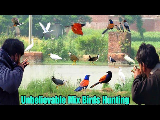 Unbelievable Mix Birds Hunting With Handmade Slingshot!