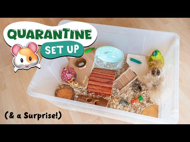 Set Up A Quarantine Cage With Me!  (with a surprise! )