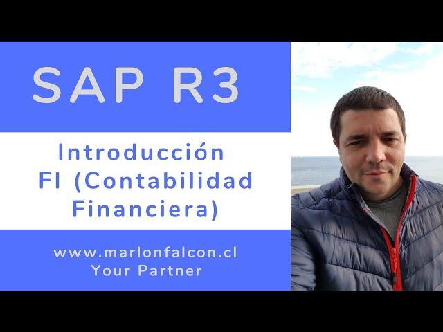 6.1 Curso SAP FI | Clase 1 Introducción a FI (Contabilidad Financiera)