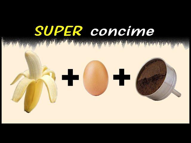 CONCIME SUPER con banana, uovo e caffè