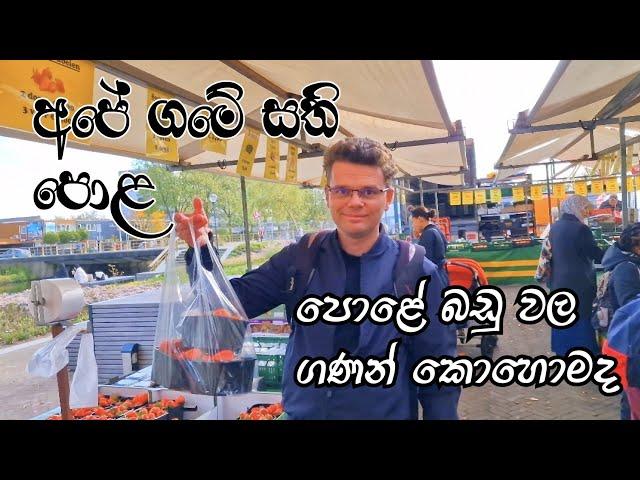 අපේ ගමේ සති පොළ - Dutch market