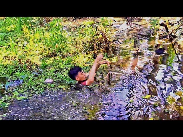 DAPAT IKAN BABON RASANYA DAGDIGDUG!!! BERBURU DI SUNGAI BESAR DAN SAWAH!!!