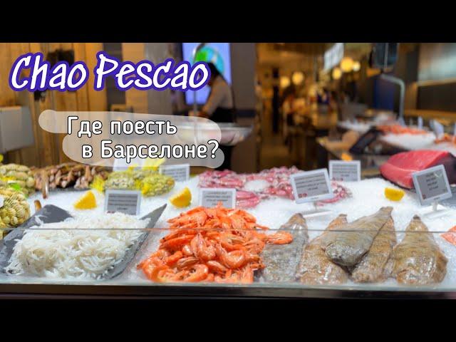 Где поесть свежие морепродукты в Барселоне?