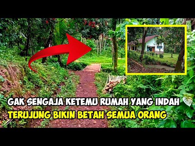 SUASANA KAMPUNG YANG TERPENCIL, BIKIN BETAH SEMUA ORANG,PEDESAAN JEMBER JAWA TIMUR