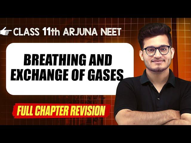 BREATHING & EXCHANGE OF GASES : COMPLETE Chapter || Quick Revision || Class 11th Arjuna NEET