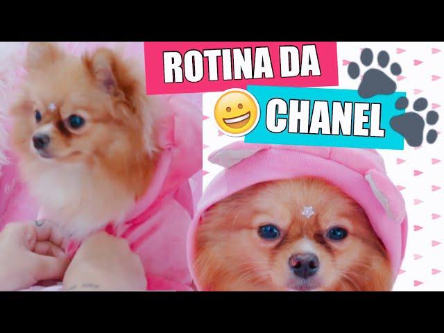 ROTINA DE BELEZA PET DA CHANEL | BRINCANDO DE BONECA