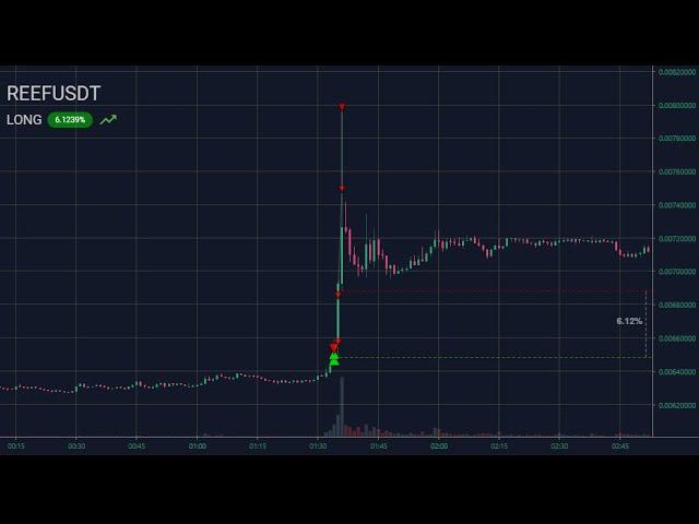 REEF пробой 22%