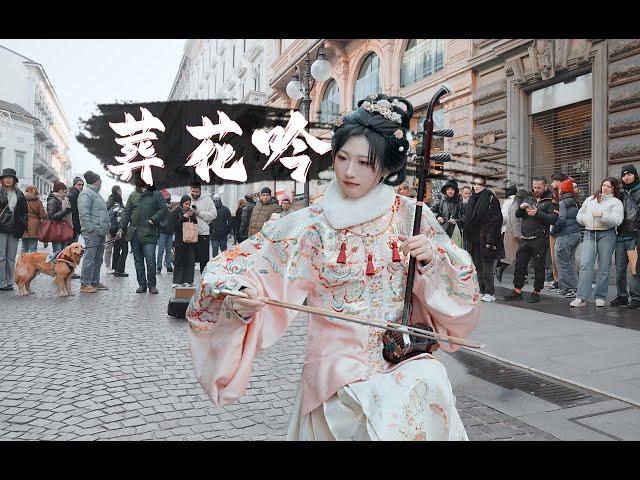 【意大利街头 二胡】一曲葬花吟，多少悲伤泪 Playing the classic song "Zang Hua Yin" with Erhu on the street of Italy