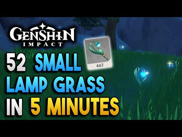 Small Lamp Grass Locations - Fast and Efficient - Ascension Materials -【Genshin Impact】