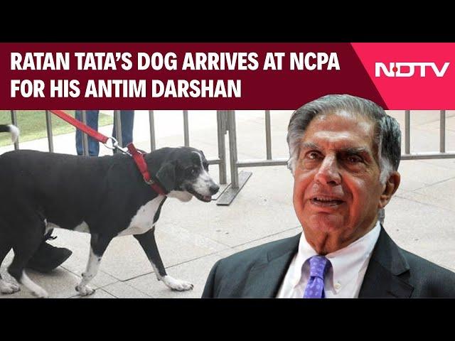 Ratan Tata Last Rites LIVE: Ratan Tata Funeral LIVE | Farewell Mr Ratan Naval Tata | Shantanu Naidu