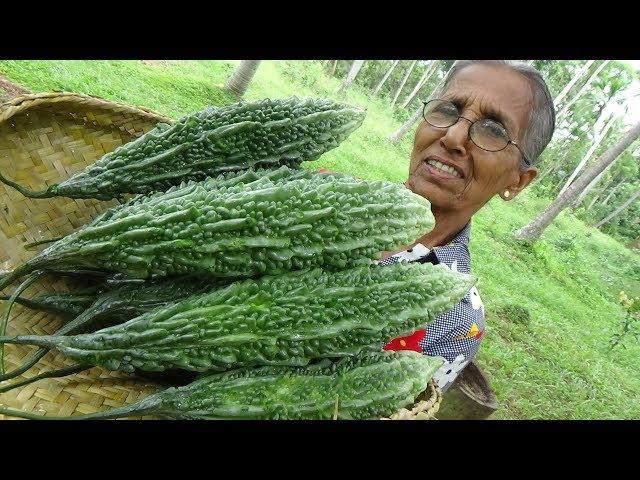 Bitter Gourd Masala Curry  Healthy Village Food by Grandma | Village Life