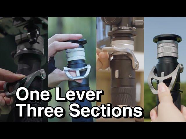 One Lever, Three Sections | YC ONION PINETA Monopod