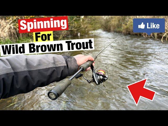 Spinning on a Wild Irish River for Trout!