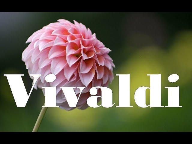 Vivaldi 4 Seasons and Nature Sounds