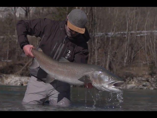 Chasing Hucho, Huchen, Danube salmon with Derek and Boice from Black Fin Fly Fishing.