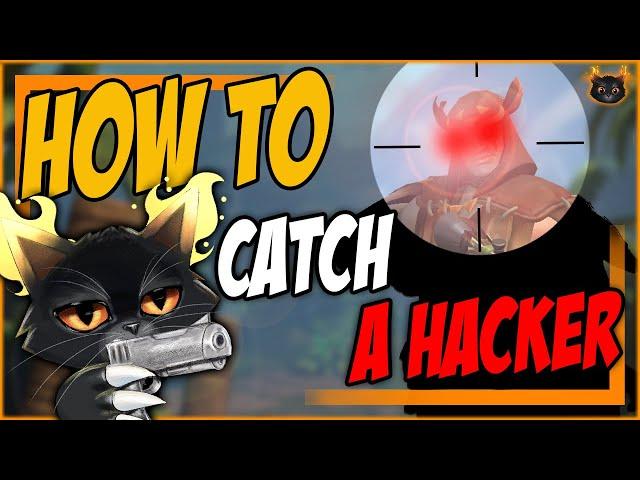 How to catch a hacker in Paladins