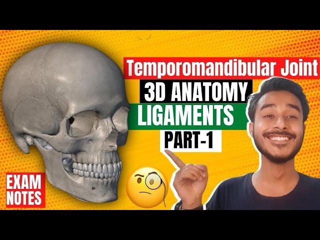 Temporomandibular Joint Anatomy 3D | anatomy of temporomandibular joint  ligaments