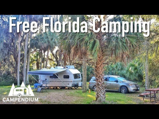 Free Camping in Florida!