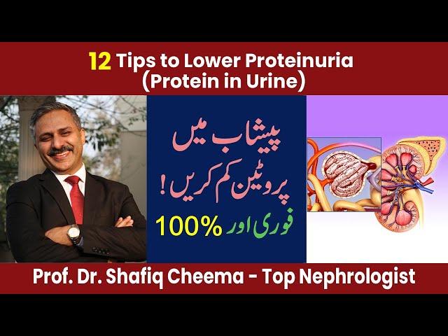 12 Tips to Lower proteinuria | 100% Urine protein reduction