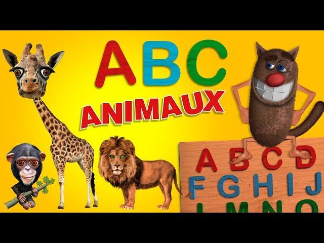 Foufou - L'Alphabet Des Animaux pour les enfants (Learn the Alphabet with Animals for kids) 4k